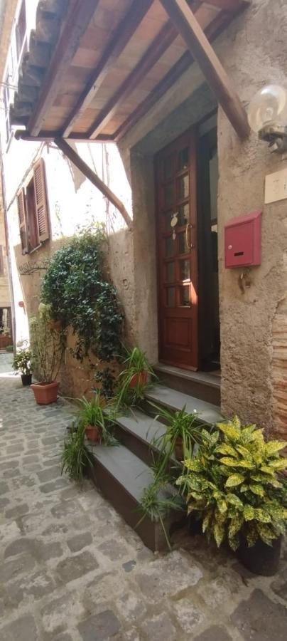 Il Vicoletto Villa Bolsena Ngoại thất bức ảnh
